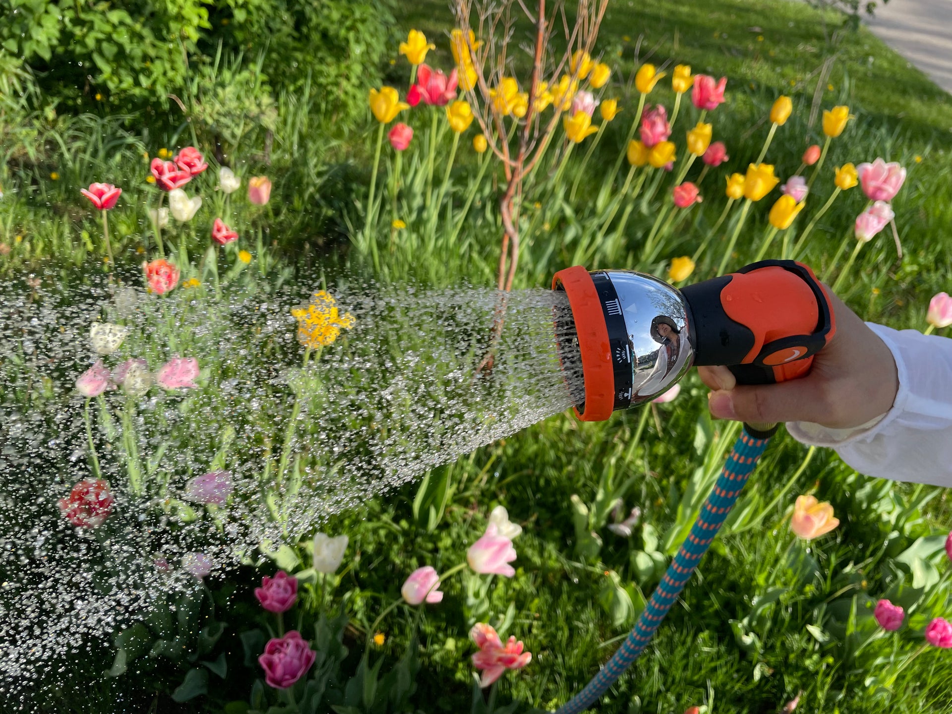 Load video: ROSEVIEW Expandable Garden Hose